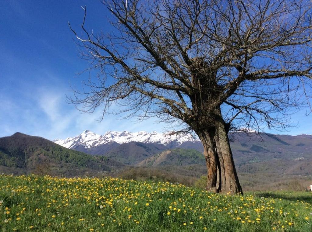 Hostellerie De La Poste Oust エクステリア 写真